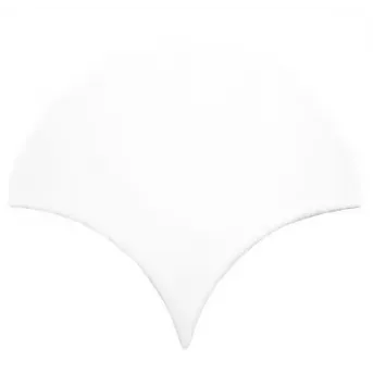 Jazz Blanco 15×13,5