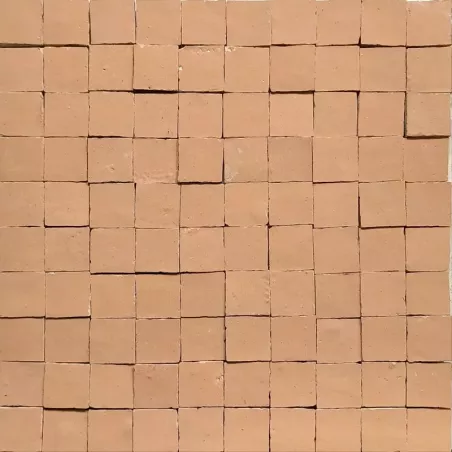 ZELIJ 10X10 - LES ÉCLATS DE ROSE