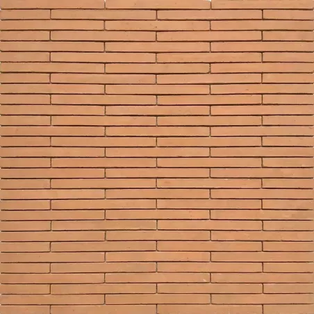 ZELIJ 2X10 LES ÉCLATS DE ROSE