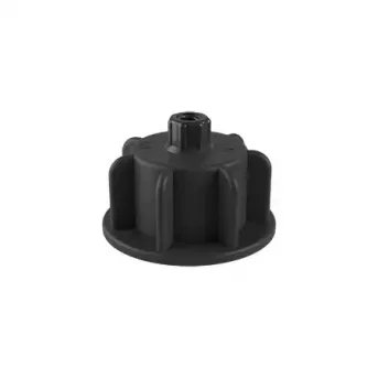 CADRAN NOIR POUR CX 3/12 MM BOITE 70 PIECES PAVILIFT